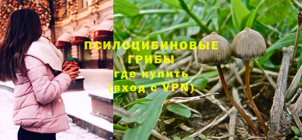 дживик Каменка